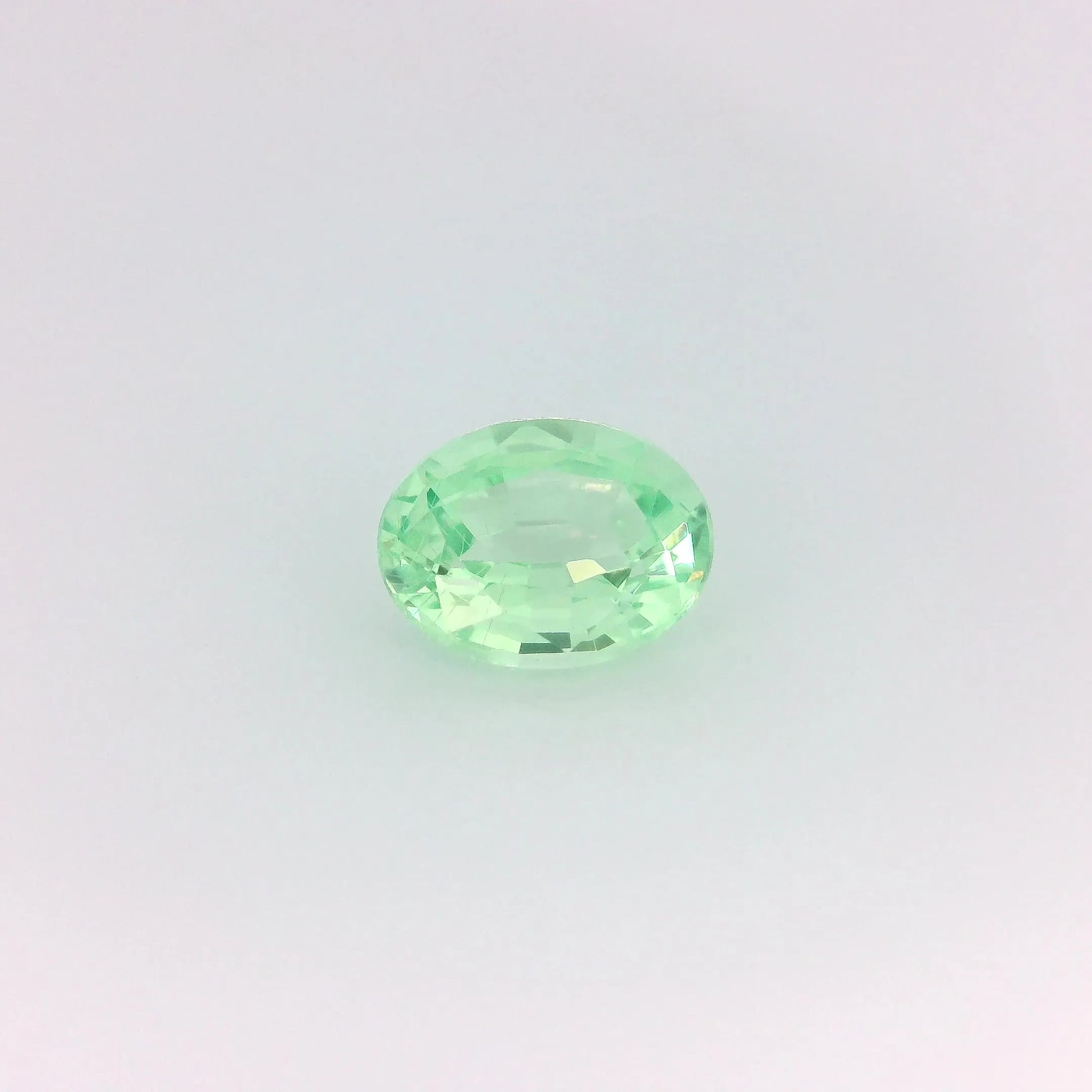 1.40ct Oval Natural Garnet (Colour Green, Clarity Slightly Included, Cut Faceted)