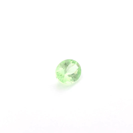 0.60ct Oval Natural Garnet (Colour Green, Clarity Eye Clean, Cut Faceted)