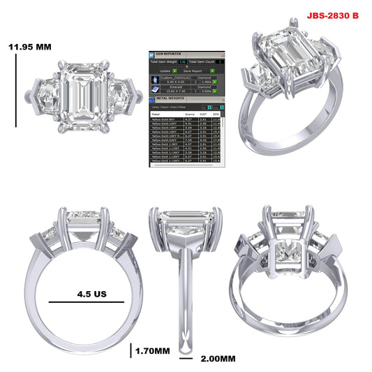 Custom Ring Order -Gan and Megan