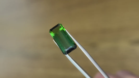 9.34ct Elongated Octagon Natural Green Tourmaline