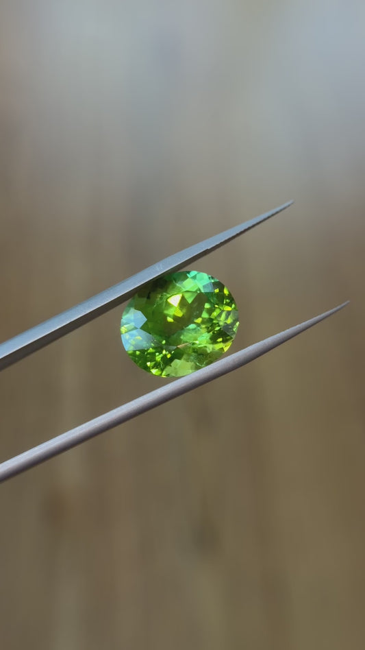 12.60ct Oval Natural Green Tourmaline